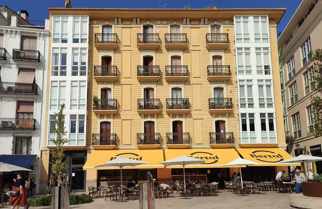 Flats Friends Plaza de la Reina-1