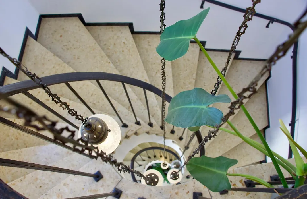 Hotel Goldene Traube-1