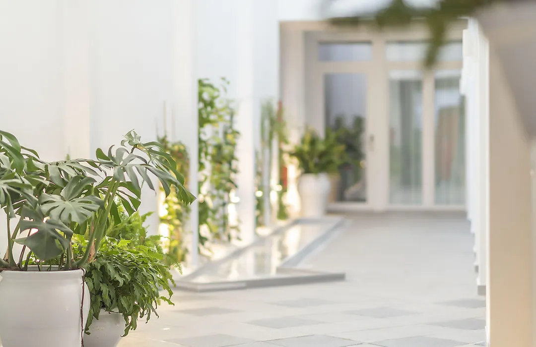 Alzocaire Hostal Boutique-1