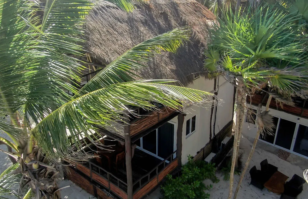 Bt Live Tulum Located At The Party Zone-1