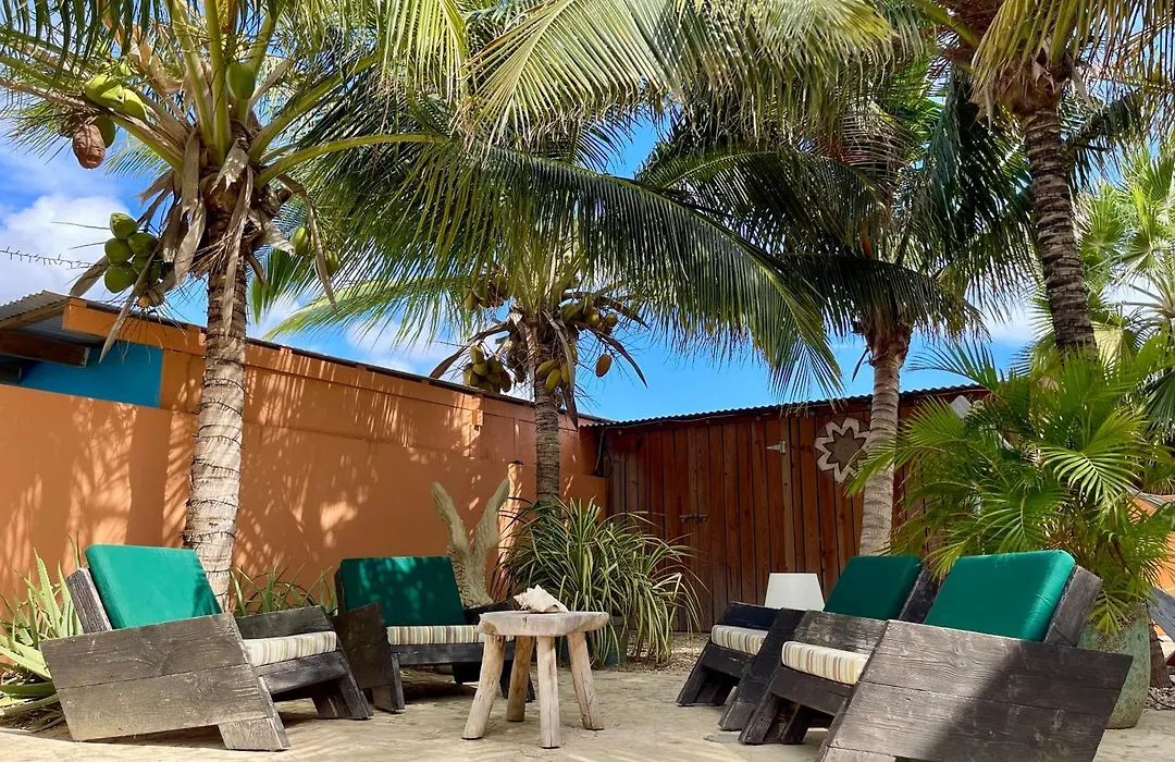 Oasis Guesthouse, Boutique Style Hotel-1