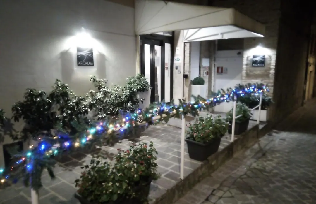Hotel Arcadia-1