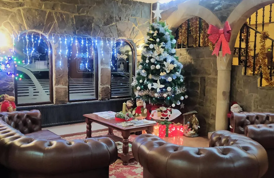 Hotel Leonor Mirón-1