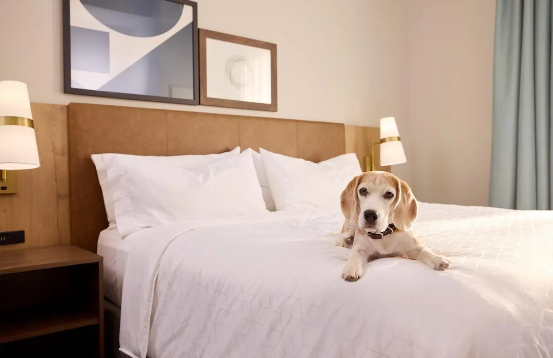 Staybridge Suites Liverpool By Ihg-1