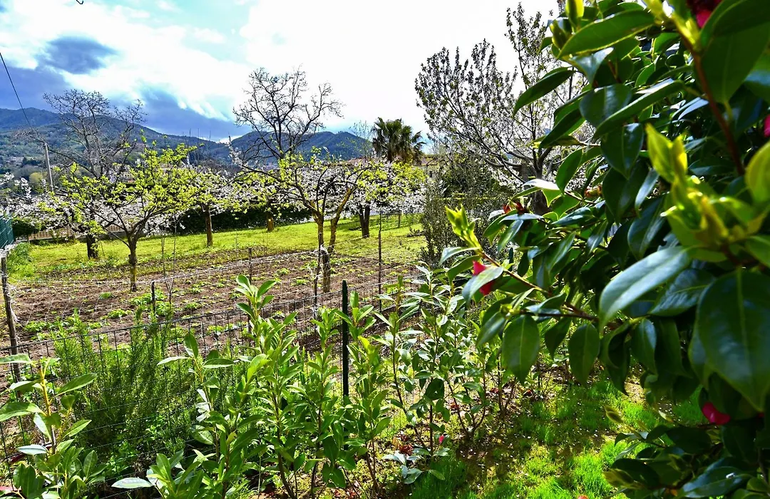 Villa Soraya-1