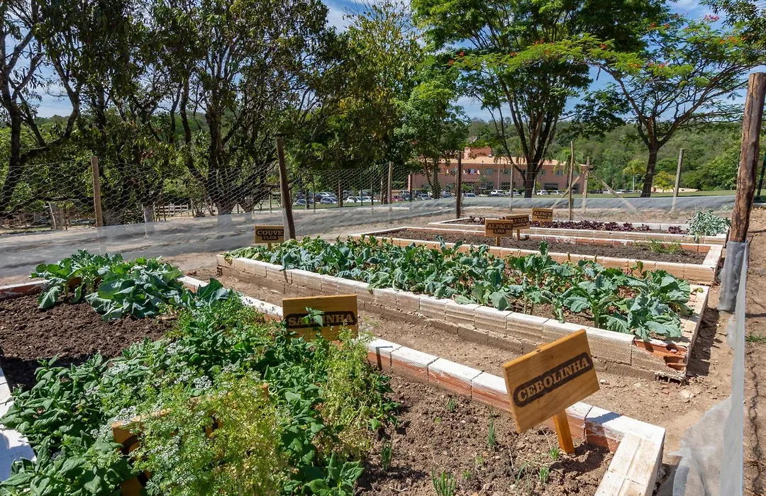 Hotel Fazenda Brisa Itu-1