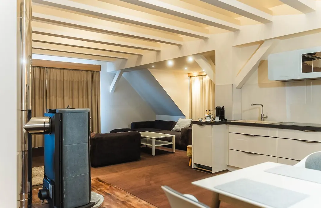 Hotel Villa Will-1