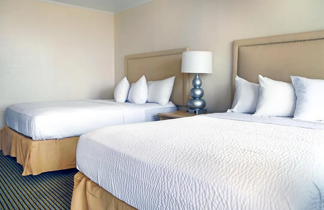 Seabonay Oceanfront Motel-1