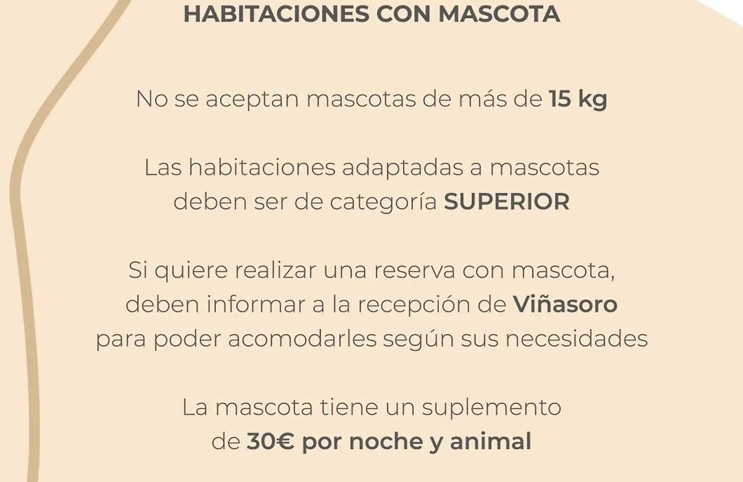 Hotel Château Viñasoro-1