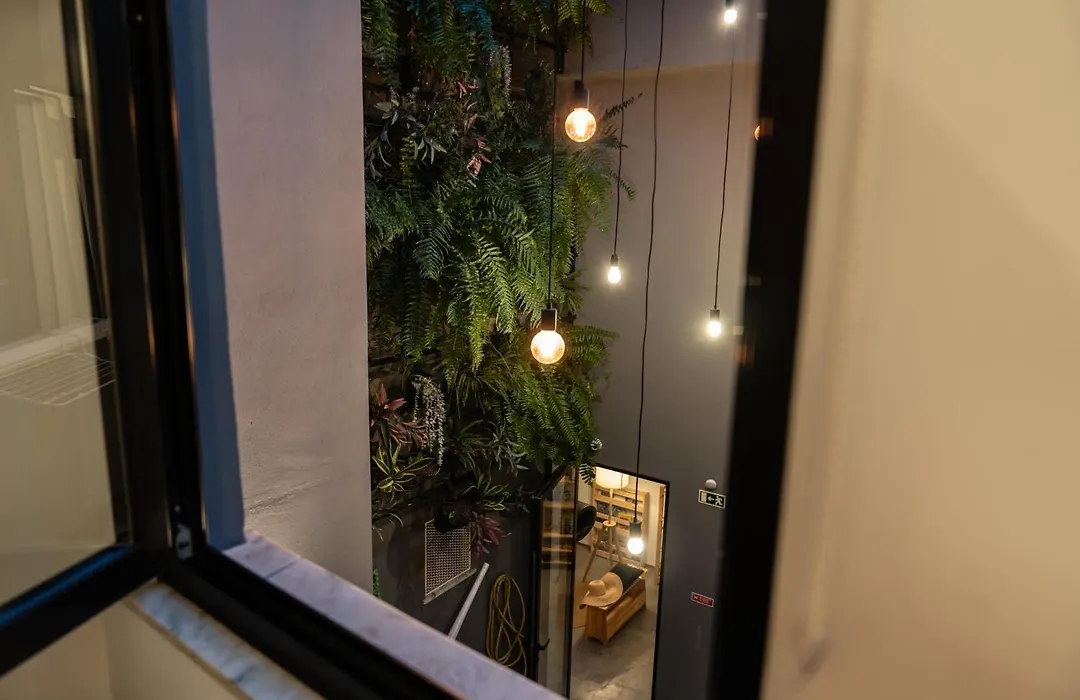 O Violas - Art Coffee & Guesthouse-1