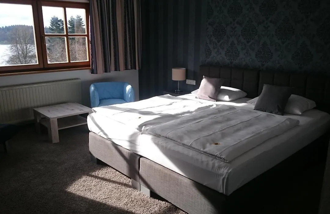 Seehotel Losheim-1