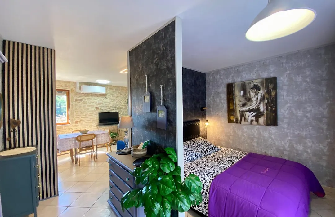 Domaine Ô Clair de Lune - Chambres d'Hôtes et Gîtes à Sarlat - Accès Cité Médiévale 5 minutes à pied - Parking - SPA&Massages en option - Piscine de saison-1