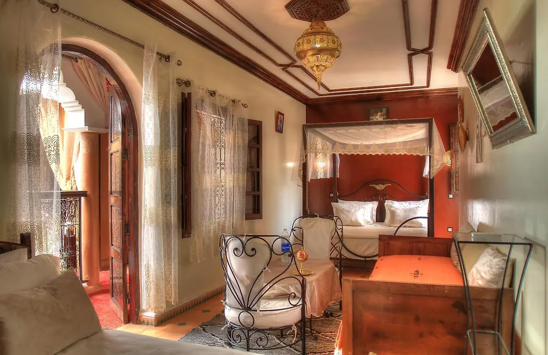 Riad ELIZZI-1