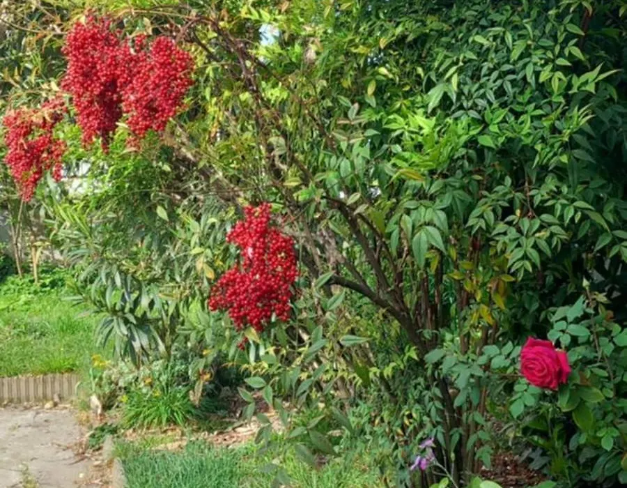 B&B delle Arti-1