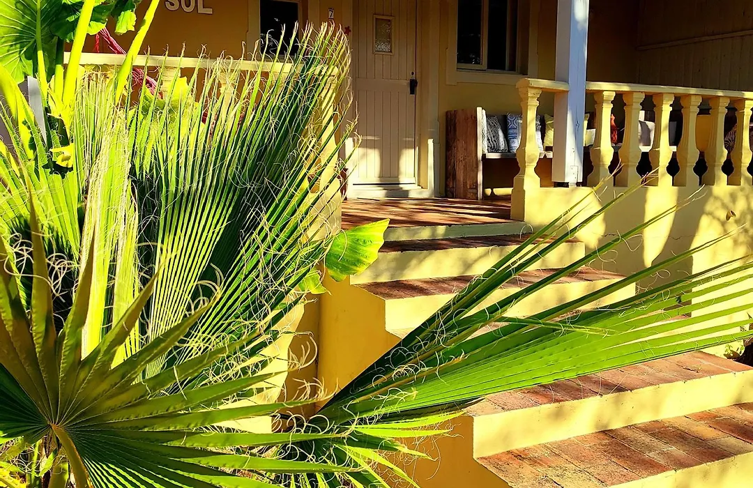 Quinta Pereiro Tropic Garden, Algarve-1