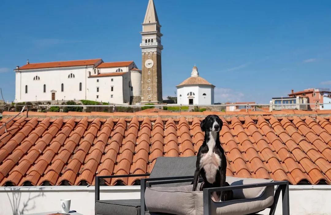 Art Hotel Tartini-1