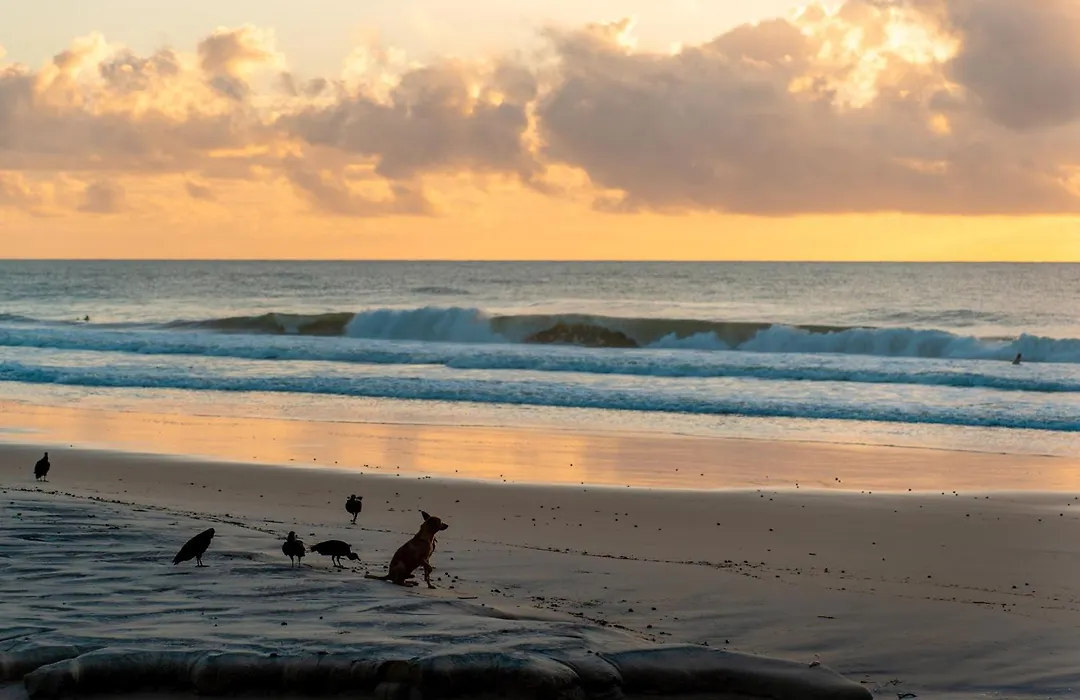 Beach House Natureza-1