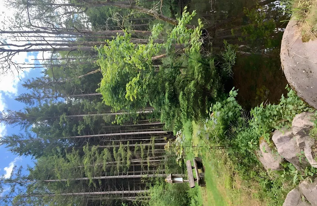 Pension Linde-1