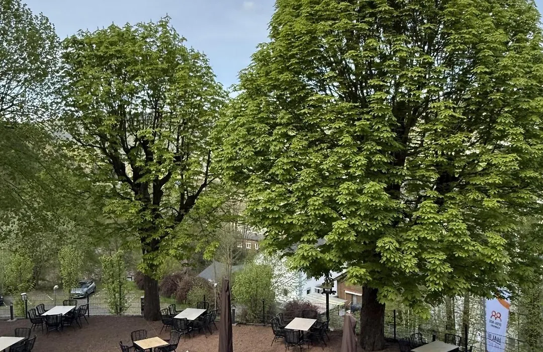BSW Ferienhotel Lindenbach-1