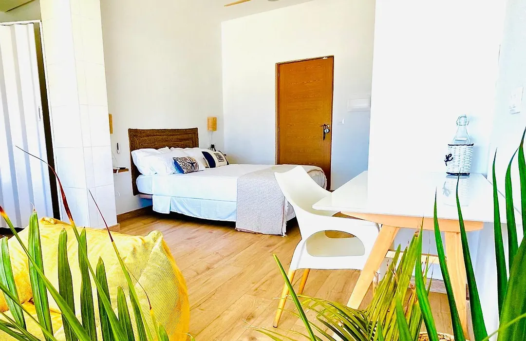 Hostal playa Dreams náutico Adults-1