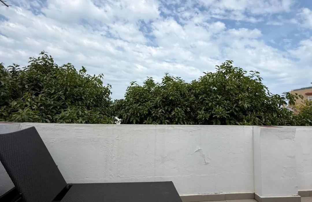 Hotel Avenida 31-1
