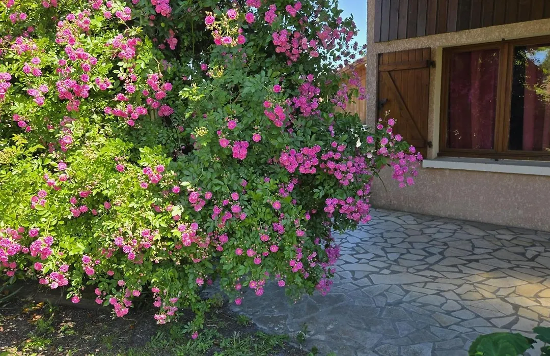 Chambres Du Petit Bonheur-1