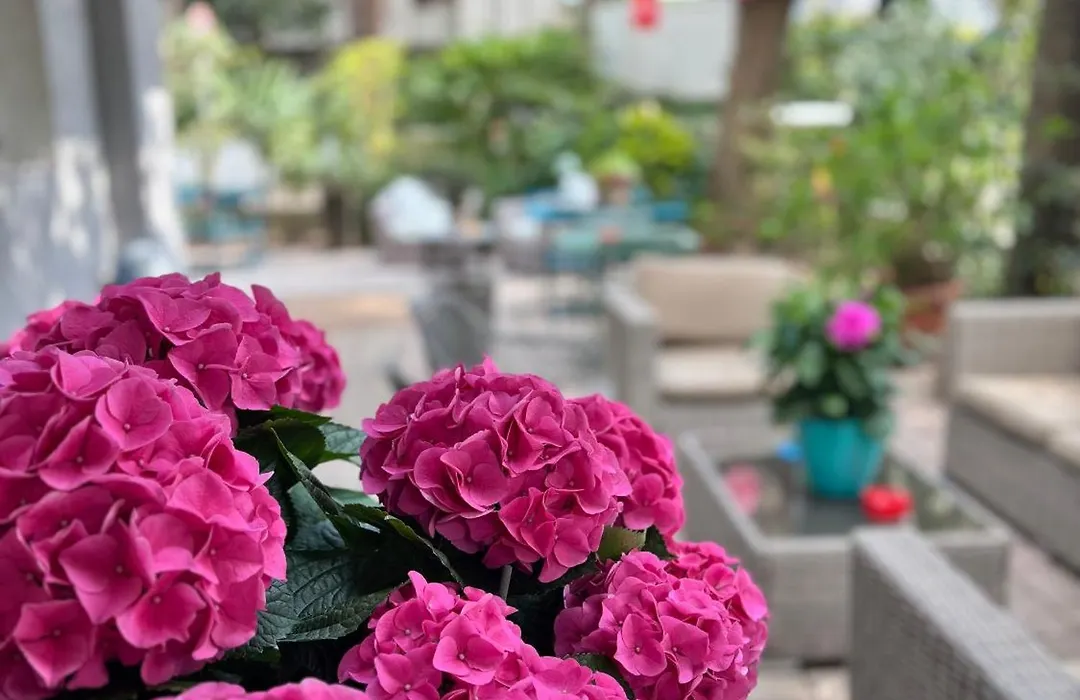 Hotel Gianlore-1