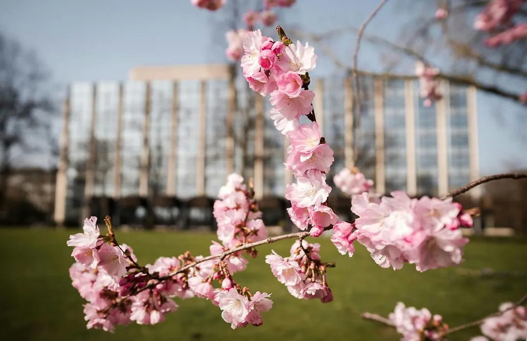 Sheraton Essen Hotel-1