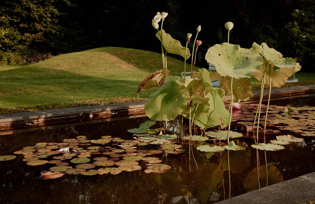 La Dime de Giverny - Chambres d'hôtes-1