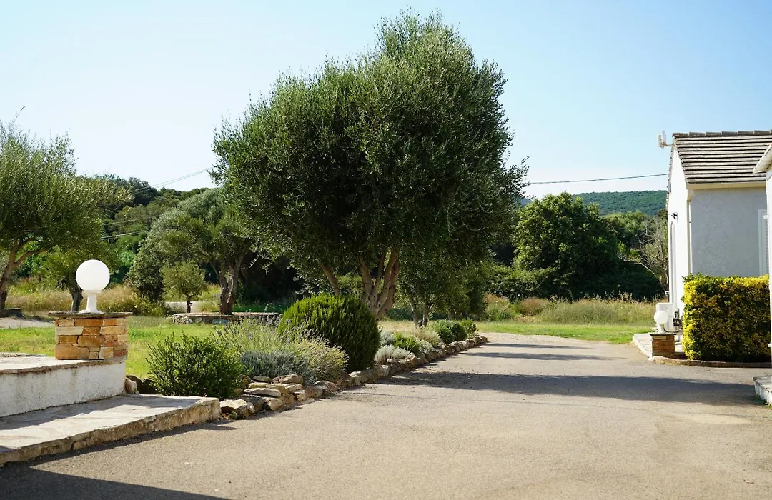 Stella Marina-1
