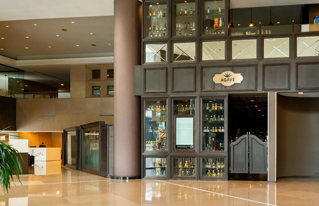 Barcelo Guadalajara-1