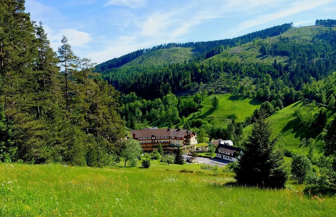 Wellnesshotel Tanne-1