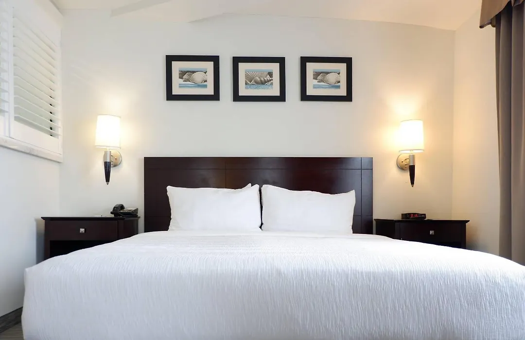The Volare, An Ascend Collection Hotel-1