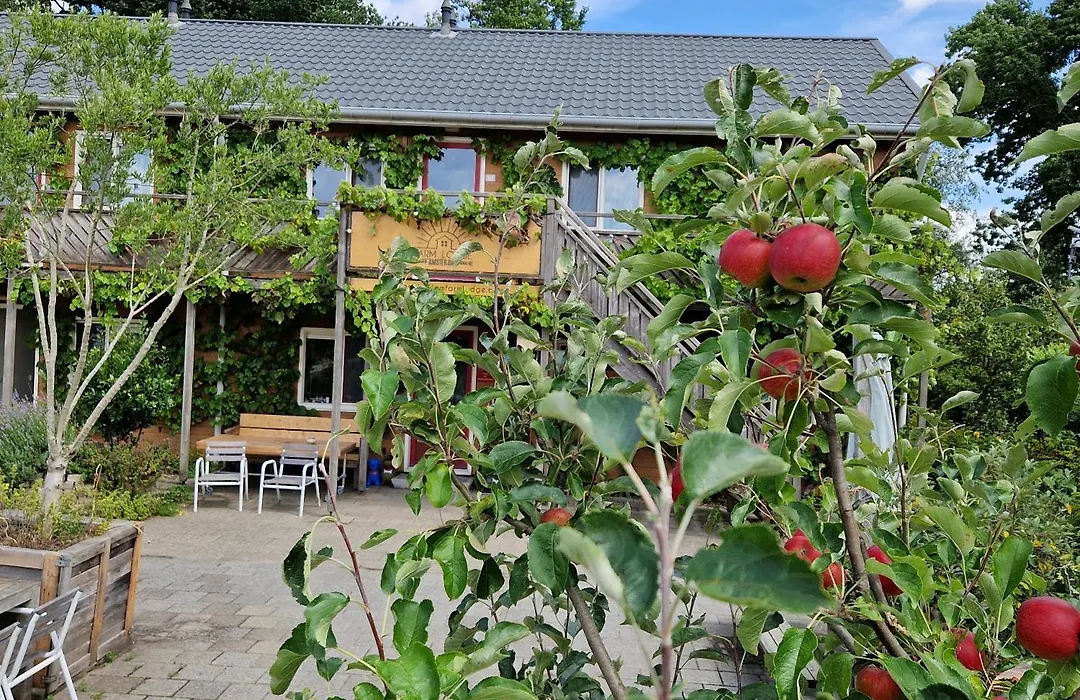Amsterdam Farm Lodge-1