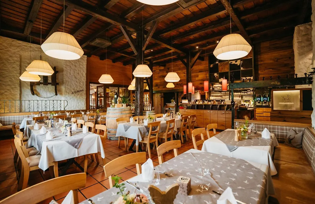 Hotel Hirsch-1