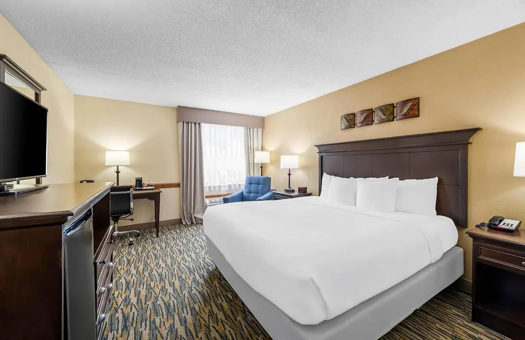 Comfort Inn At Thousand Hills-1