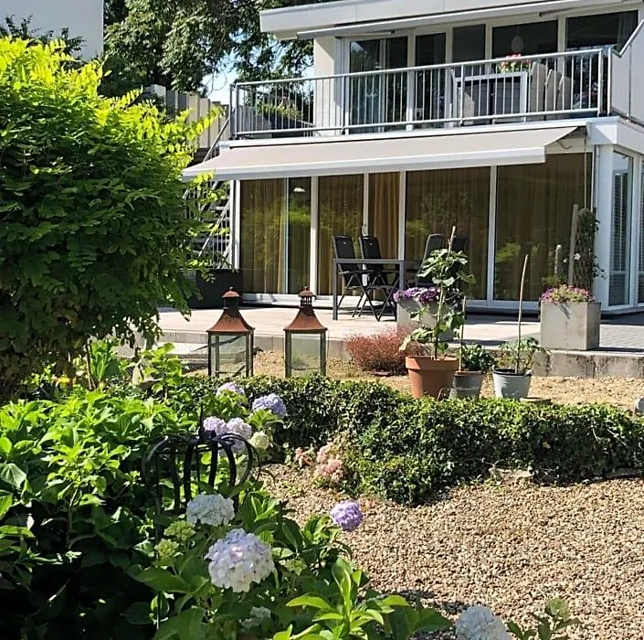B&B Rose-1
