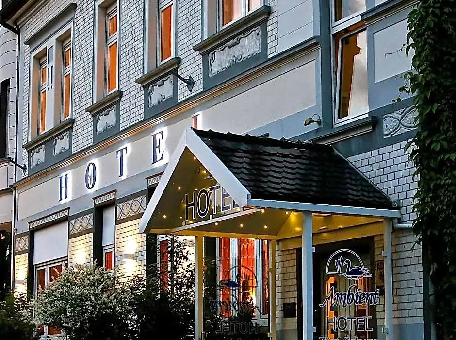 Ambient Hotel Zum Schwan-1