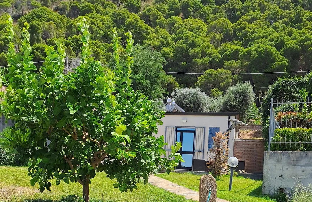 B&B Sweetsea-1