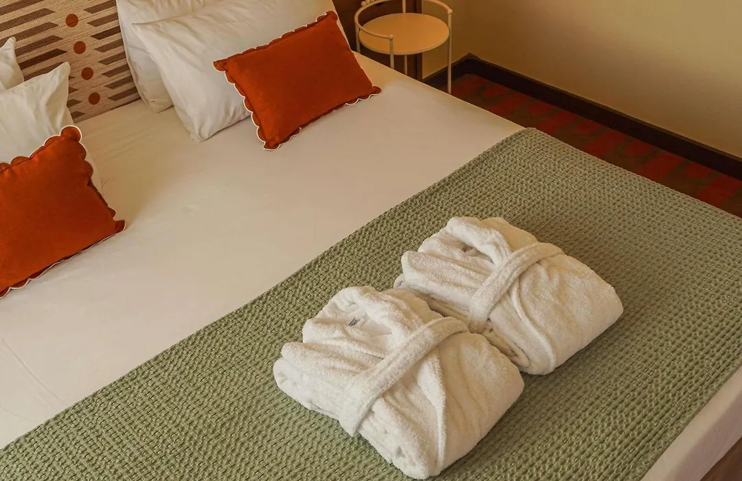 Mercure Arles Centre Arenes-1