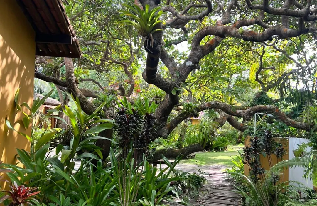 Pousada Terra Caraiva-1