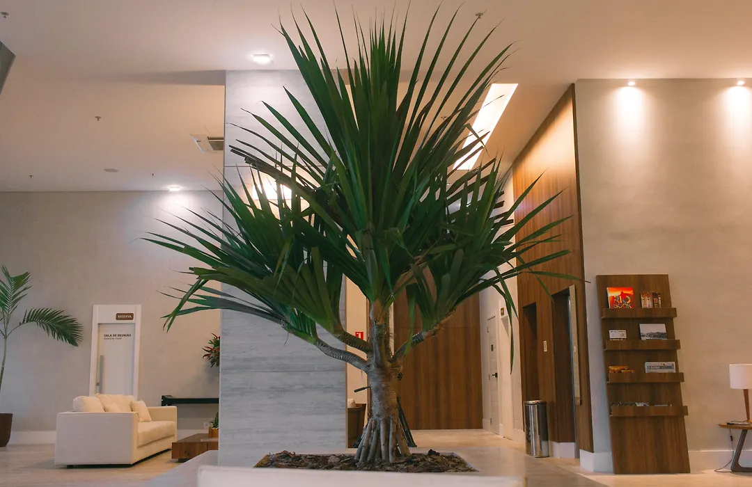 Square Design Hotel-1