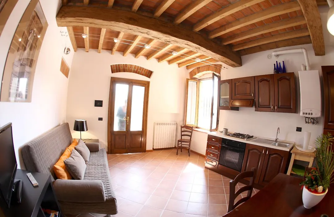 B&B Stradivari-1