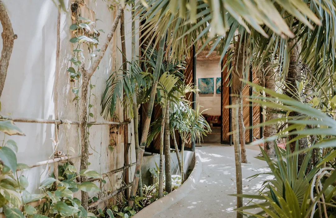 Orchid House Tulum Jungle-1