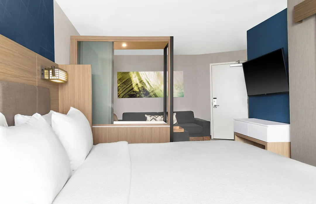 Springhill Suites By Marriott Holland-1