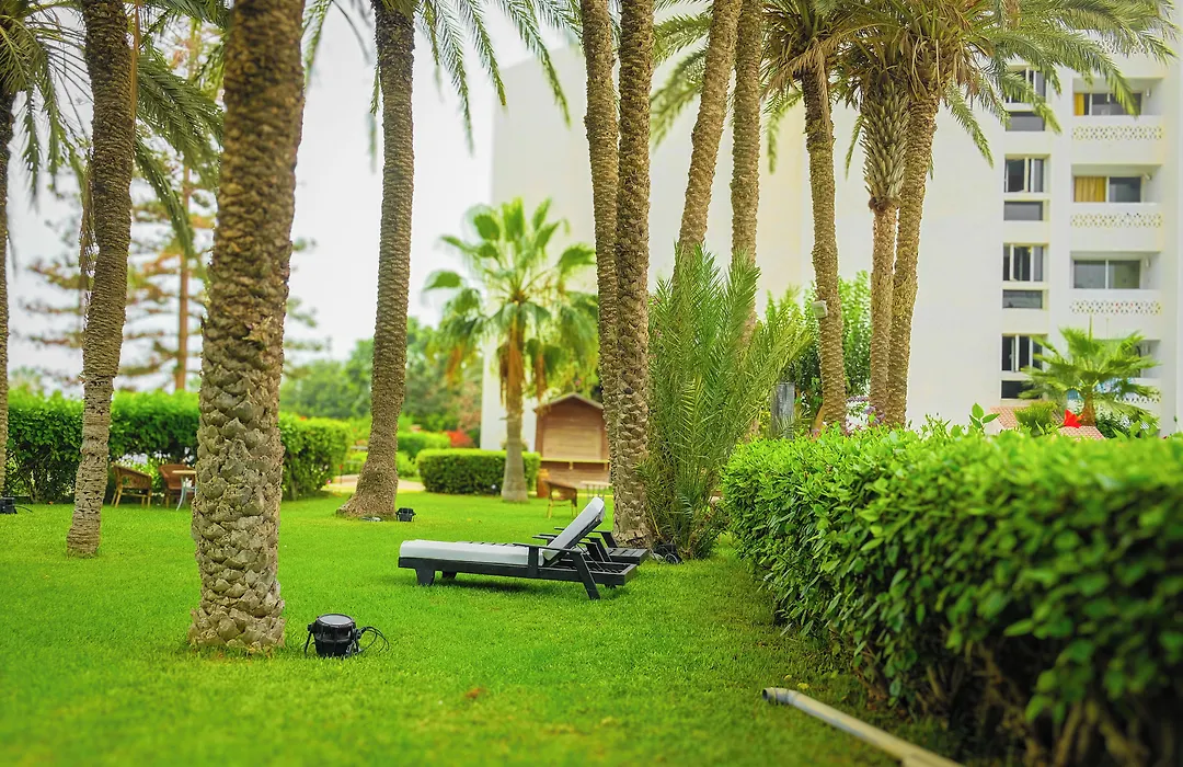 Hamilton Agadir-1