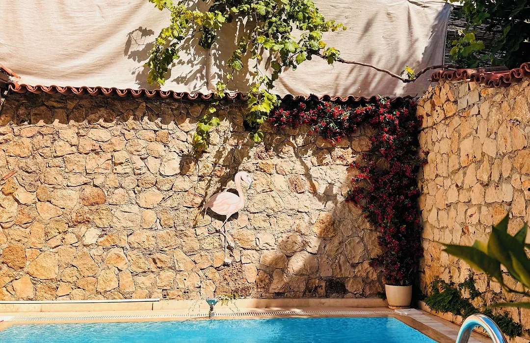 Kaleici Hotel-Adults Only-1