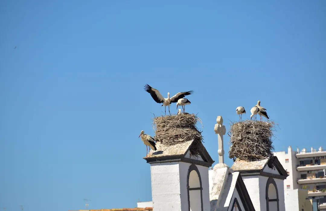 Hotel Sol Algarve By Kavia-1