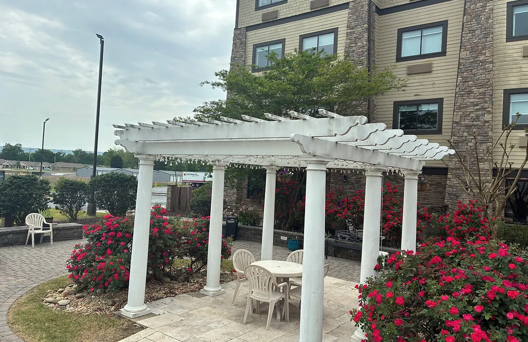 Comfort Inn & Suites Near Lake Guntersville-1
