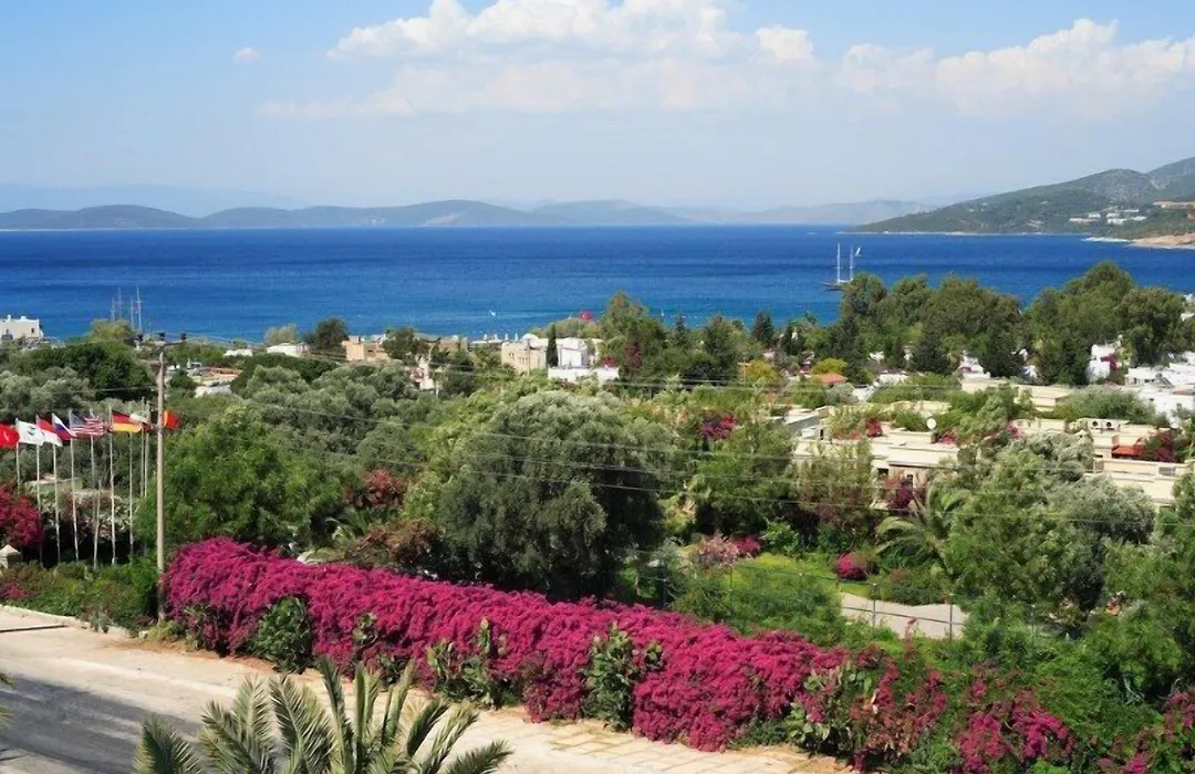Zeytinada Hotel-1